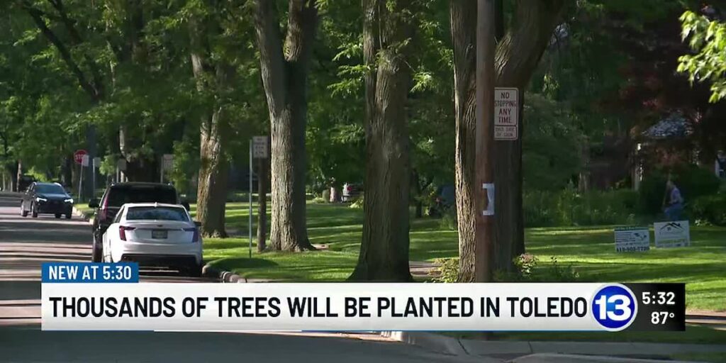 Thousands of trees will be added to the streets of Toledo to help the environment and your wallet